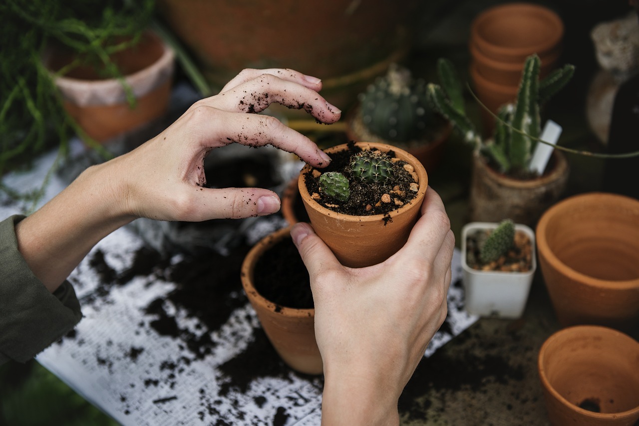 The Power of XRF Soil Testing: How It's Revolutionizing Environmental Analysis (en inglés)